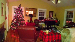 IMG_20141206_220057077