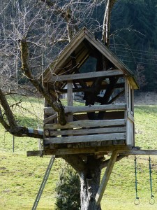 treehouse-100206_1280