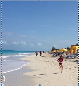 11003981_10152868509451144_1856710466_n