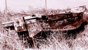 11046670_10205105237781964_6335328350305295146_o