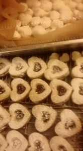 11796470_10204637678001177_7632964948902043356_n