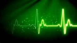 12506721_10205534609743910_1797737778_n